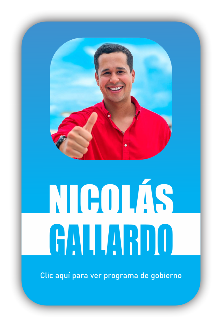 Diseño candidatos Nicolás